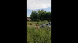 Wild Belgrade traffic