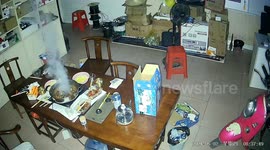 Unexpected mouse almost causes fire after accidentally open induction cooker