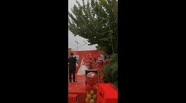Man shakes tree for perfect wedding photos