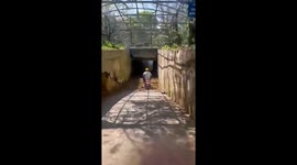 Motorbike rider fearlessly navigates flooded tunnel in Shenzhen