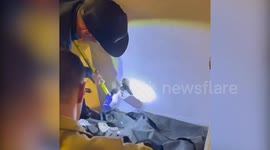 Firefighters called to rescue dog - who got stuck in wall