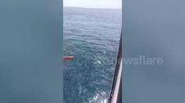 Cargo ship capsizes at port in the Philippines