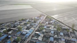 Dedicated farmers power Xinjiang's cotton harvest