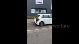 Swarm of bees cover vehicle's window in Glasgow