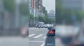 Motorcyclist stops in busy traffic - to rescue frightened cat