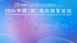 Industrial scale of Sino-German cooperation in Beijing grows to 40 bln yuan