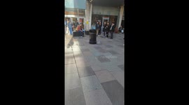 Remote Control Rubbish Bin Race Car