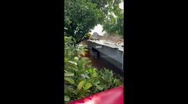 Rescue team saves dog stranded on air conditioning unit during flood in Brazil