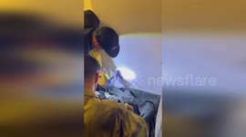 Puppy stuck behind wall in family home rescued by firemen