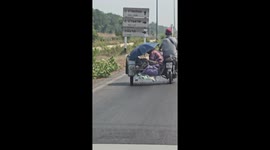 Motorcycle sidecar passenger shelters dog with umbrella