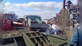 Stranded cows saved from floods in Russia