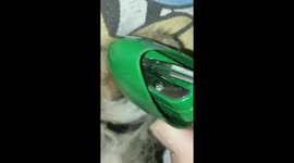 Family painstakingly remove cat's paw from pencil sharpener