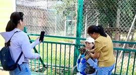 Controversy erupts as visitors pose with tiger cubs