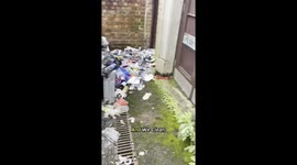 'We're twins and we go round the UK cleaning places FREE of charge'