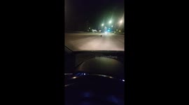 Young Bears dash across highway bridge