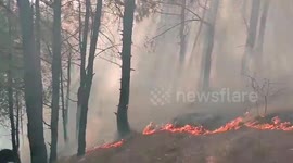 India: Authorities begin operation to extinguish massive forest fire
