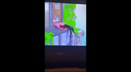Cat is way too emotionally invested in kitty computer game