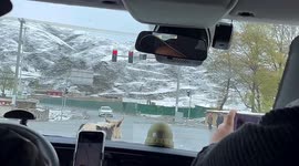 Astonishing moment cow follows traffic rules perfectly on Chinese road