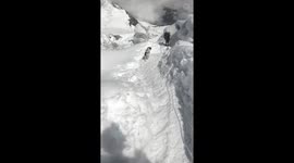 Lost dog rescued at 6,150 meters: Manaslu summit adventure