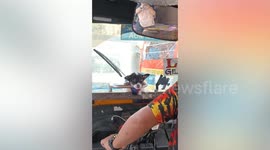 Puppy rides at the front of tuktuk taxi with owner