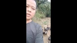 The man used his sound to lead hundreds of ducks to the rice fields