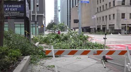 Fallen trees and shattered windows in footage revealing aftermath of Houston tornado