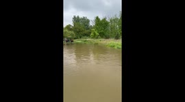 Joyful Tug: a dog's delight in rainwater play