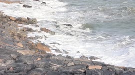 Ghana: Castle-based museum commemorates slavery history