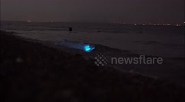 Stunning bioluminescence seen at Kent beach, UK