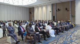 Seminar on China-Africa education cooperation calls for high-quality education in continent