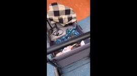 French Bulldog and baby are sleeping together in a wagon in the playground, very cute
