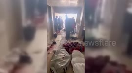 Palestine: Child Sole Survivor Of Attack On Gaza Family Home