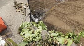 Indonesia: Floods cause 67 deaths in West Sumatra