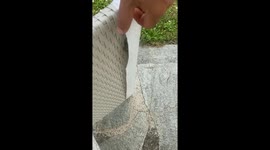 Helping Out a Small Lizard