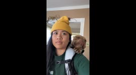 Dog in backpack completely unfazed after whacking head on door