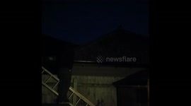 I can't get my kitten off of the roof no matter how much I've tried