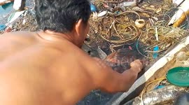 Fisherman saves turtle tangled in pile of floating trash