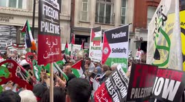 London protests: crowds march in solidarity with Palestine amid Israel-Gaza conflict