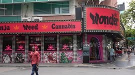 Thailand facing cannabis shop exodus as dopey government makes marijuana U-turn