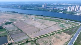 China: A Community Melon Planting Base in Suizhou