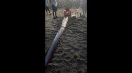A rare 5 meter long oarfish washed up on the coast of central Vietnam