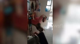 College students given fright as monkey breaks into dorm