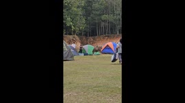 Hungry wild deer wanders through campsite to dip into family's lunch