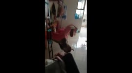 Wild monkey breaks into girl's dormitory causing chaos in China