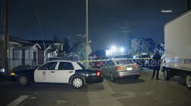 USA: LAPD Officers Fatally Shoot Knife-Wielding Man