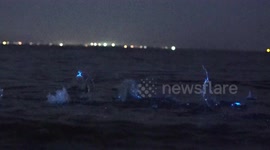 Bioluminescence turns Blue Flag beach blue in Kent, UK