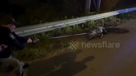 USA: Deputies Rescue Huge Alligator from Highway in Brunswick County