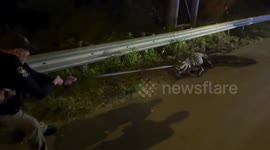 Cops catch huge alligator on highway in North Carolina