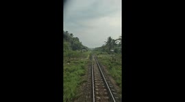 Cow leaps from tracks to narrowly avoid oncoming train
