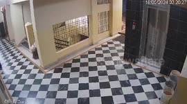 Burglars dressed in women's attire caught on CCTV in Hyderabad heist
